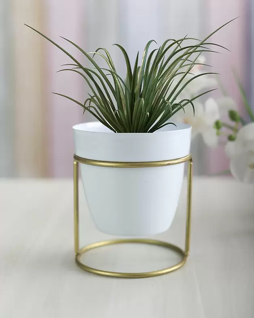 Galloy White oval metal desk planter with stand Plant Container Set (Metal)