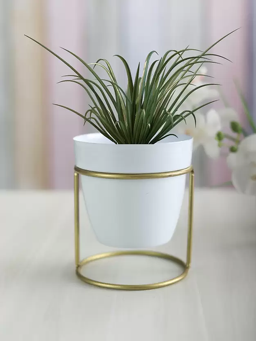 Galloy White oval metal desk planter with stand Plant Container Set (Metal)