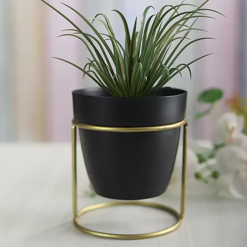 Galloy Black oval metal desk planter with stand(WITHOUT PLANT) Plant Container