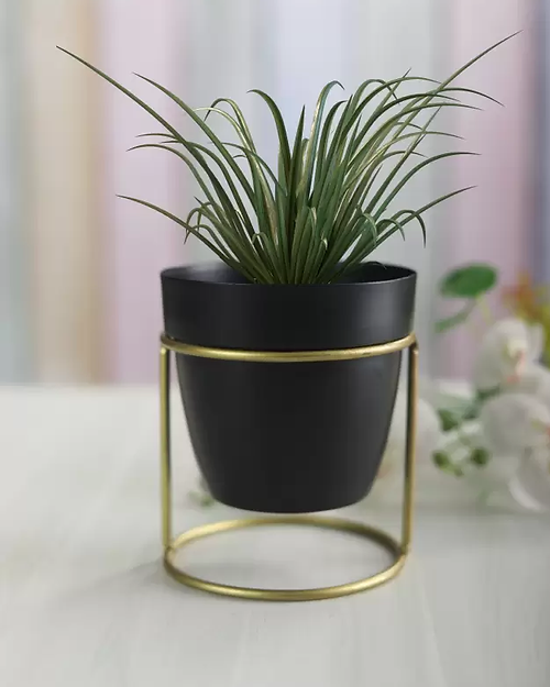 Galloy Black oval metal desk planter with stand(WITHOUT PLANT) Plant Container