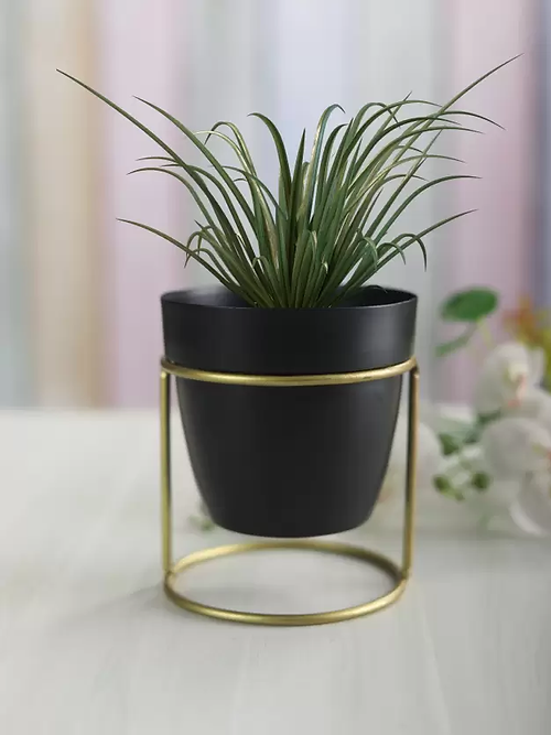 Galloy Black oval metal desk planter with stand(WITHOUT PLANT) Plant Container