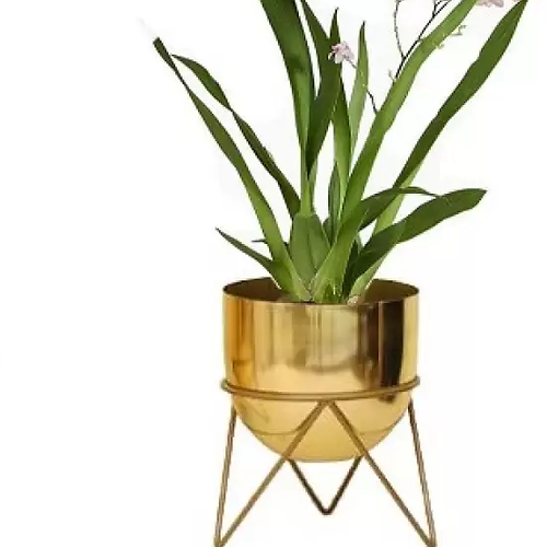Galloy Impex flower pot Plant Container Set (Metal)