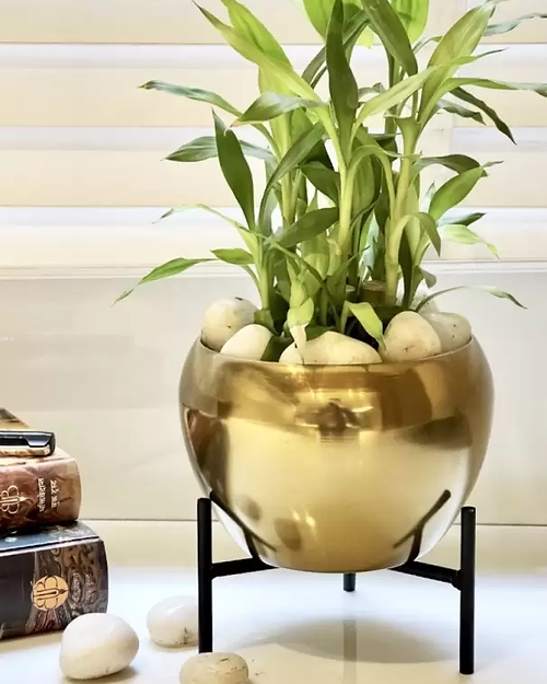 Galloy Metal Flower vase for Home Decor and Indoor Room Vintage Vase Filler