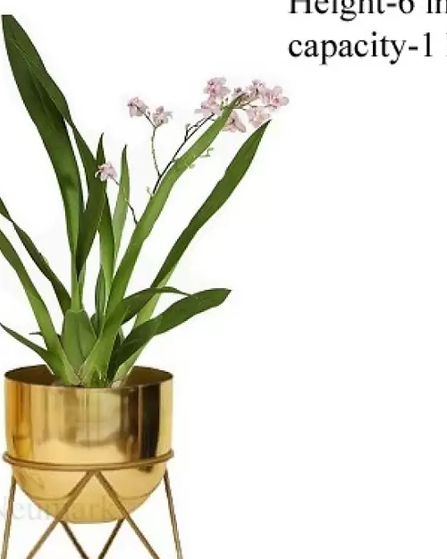 Galloy Impex flower pot Plant Container Set (Metal)