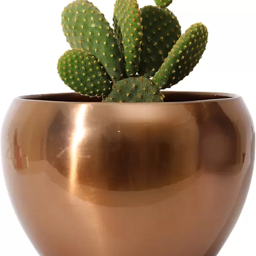 Galloy Pot Copper (4.7 inches) Multipurpose Table Pot/Desktop Flower Planter