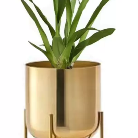 Galloy Impex plant stand Plant Container Set (Metal)