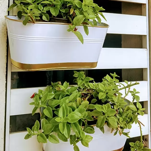 Galloy Impex hanging planter Plant Container Set (Pack of 2, Metal)